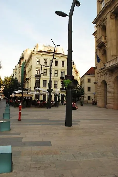 Pedestrian Area, City Center 布达佩斯 匈牙利